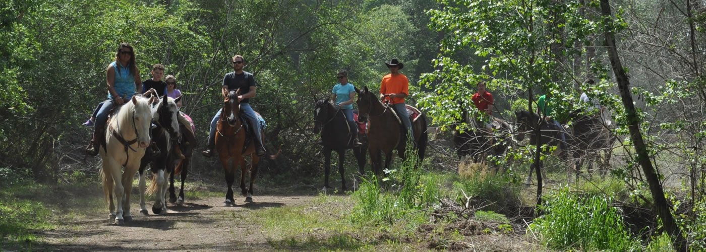Horseback Riding in the Woods